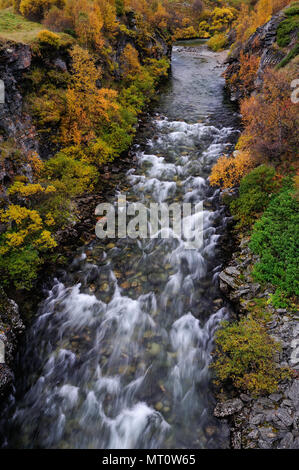 Driva canyon in autunno, dovrefjell, Norvegia Foto Stock