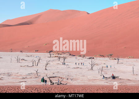 Sossusvlei, Namib Desert, Namibia, Africa Foto Stock