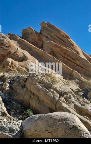 Il creosoto bush, Larrea tidentata, marrone chiaro, arancione, rocce sedimentarie, Truckhaven rocce, Anza-Borrego Desert State Park, CA 050115 2014 Foto Stock