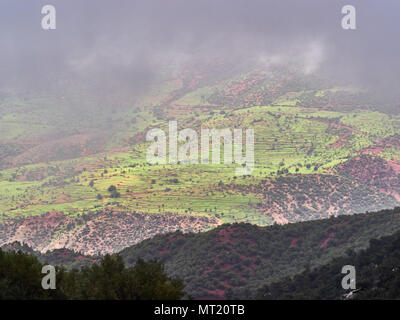 Alto delle montagne Atlas in cattive condizioni atmosferiche durante la pioggia e nebbia, le nuvole allontanati e un raggio di sole illuminava il verdi pendii, Marocco. Foto Stock