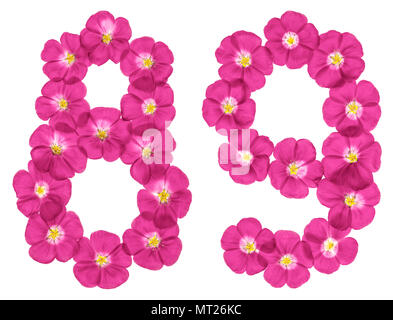 Numero arabo 89, ottanta nove, da fiori di colore rosa del lino, isolato su sfondo bianco Foto Stock