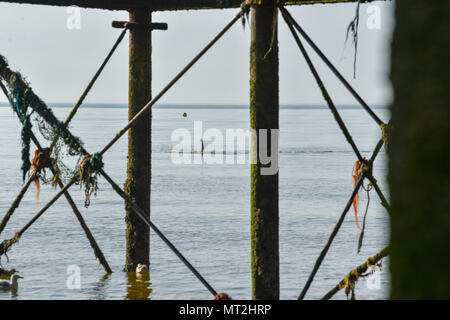 Brighton Regno Unito 28 maggio 2018 - Un inizio di mattina nuotatore non si raffredda nel mare di spiaggia di Brighton prima di migliaia di visitatori sono attesi su lunedì festivo come il caldo clima soleggiato continua ma possibili temporali sono previsioni per più tardi nella giornata di credito: Simon Dack/Alamy Live News Foto Stock