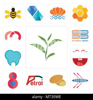 Set di 13 semplici icone modificabile come le foglie di tè, canottaggio, patata, Benzina, numero 8, ridere, clinica dentale, studente prenota, m può essere utilizzato per il mobile, web Illustrazione Vettoriale