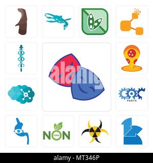 Set di 13 semplici icone modificabili quali fiction club, 111, quarantena, non tossico, endoscopio, carparts, neuro, pizzeria, mbbs può essere utilizzato per il mobile, Illustrazione Vettoriale