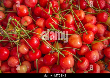 Un mucchio di ripe rosso ciliegie conservate su un ripiano per la vendita in un negozio Foto Stock