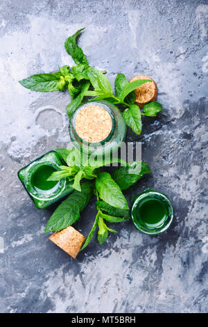 Essenza di menta olio in una piccola bottiglia e foglie fresche.piante di guarigione Foto Stock