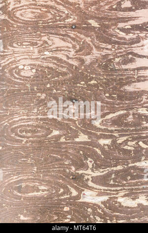 Squallido compensato. sfondo marrone di legno stagionato texture con schema naturale Foto Stock