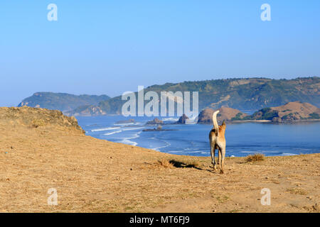 Merese hill, situato in Mandalika Zona Economica Speciale, Central Lombok regency, West Nusa Tenggara. Foto Stock