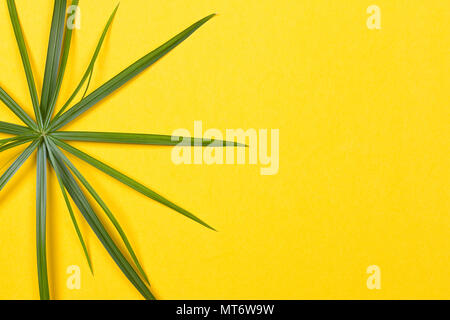 Foglie tropicali su sfondo giallo. la minima nozione. Lay piatto. Foto Stock