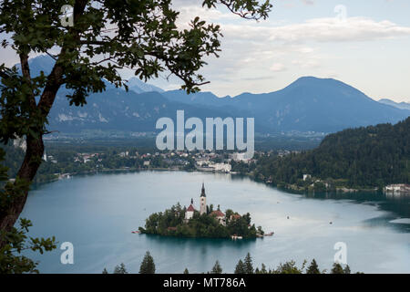 Lago di Bled con bella isola Foto Stock