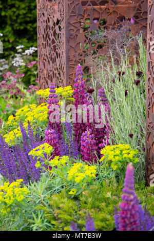 Lupinus 'Masterpiece' e Salvia sylvestris 'Mainacht' intorno ad un taglio laser acciaio pilastro nel flusso Urbano garden alla RHS Chelsea Flower Show 2018, L Foto Stock