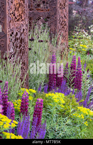 Lupinus 'Masterpiece' e Salvia sylvestris 'Mainacht' intorno ad un taglio laser acciaio pilastro nel flusso Urbano garden alla RHS Chelsea Flower Show 2018, L Foto Stock