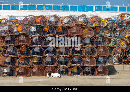 Pila di trappole di granchio è porto Essaouira Foto Stock