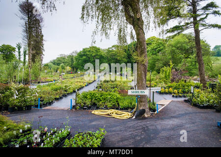 Una vasta selezione di piante per la vendita in un grande centro giardino vivaio. Foto Stock