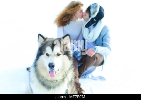 Close up muso di husky con kissing matura in inverno sfondo. Concetto di animali domestici e a piedi con i cani. Foto Stock