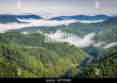 Nebbia di mattina si libra sopra la valle centrale in Appalachi. Foto Stock