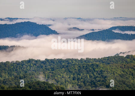 Nebbia di mattina si libra sopra la valle centrale in Appalachi. Foto Stock