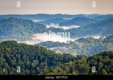 Nebbia di mattina si libra sopra la valle centrale in Appalachi. Foto Stock