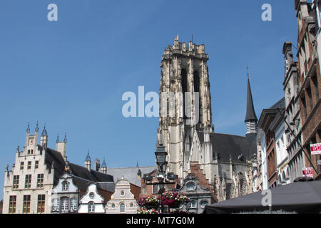 San Rumbold la cattedrale e il Grote Markt Mechelen, Belgio Foto Stock