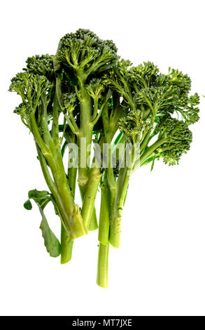 Bella broccolini fresco pronto per essere consumato Foto Stock