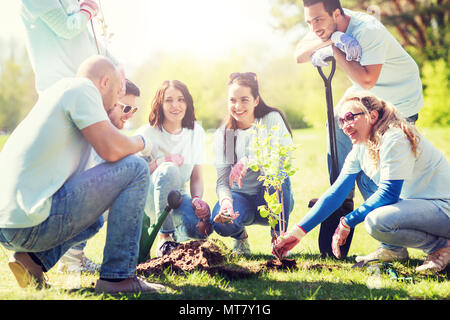 Gruppo di volontari piantare in posizione di parcheggio Foto Stock