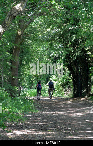 I ciclisti sulle Marriott il modo di lunga distanza sentiero cycleway tra Norwich e Drayton, Norfolk, Regno Unito. Foto Stock