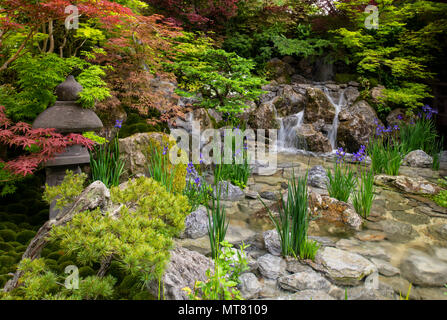 O-mo-te-na-shi no NIWA - Il giardino ospitalità, un tradizionale giardino Giapponese con una casa giardino surrouned da alberi di Acer progettato da Ishihara K Foto Stock