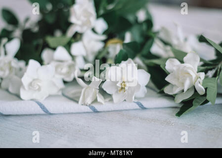 Cape fiori di gelsomino con striscia blu tovagliolo bianco sul tavolo di legno Foto Stock