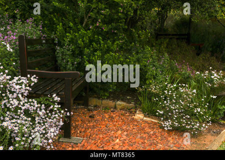 Banco di appoggio e fynbos in Kirstenbosch National Botanic Garden sulla garden route, Città del Capo, Sud Africa Foto Stock