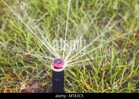 Una protezione sprinkler automatica testa disperdere acqua sull'erba. Sprinkler erba di irrorazione di acqua sul prato di close-up. In stile vintage. Foto Stock