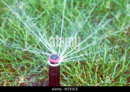 Una protezione sprinkler automatica testa disperdere acqua sull'erba. Sprinkler erba di irrorazione di acqua sul prato di close-up. In stile vintage. Foto Stock