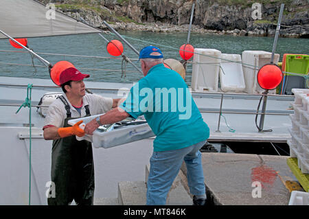 Llanes, Asturias, Spagna, Europa, porto di pescatori, Off il caricamento di pesce da pesca barca in porto, Foto Stock