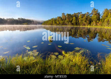 Warmia e Mazury, una foresta lago, la Polonia, l'Europa. Foto Stock