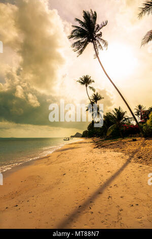 Mattina sulla spiaggia di Bang Po. Isola di Samui. Thailandia. Foto Stock