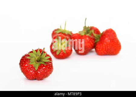 Pochi rosso Fragole freschezza giacente su sfondo bianco Foto Stock