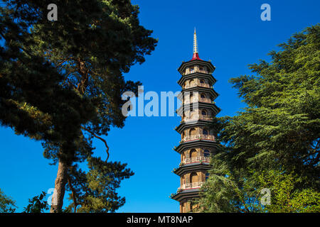 La Pagoda a Kew Gardens - Londra, Inghilterra Foto Stock