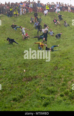 Coopers Hill, Gloucester, Regno Unito. Il 28 maggio 2018. Annuali di formaggio non ufficiale di laminazione e di evento di risveglio. Crazy concorsi provenienti da tutto il mondo si riuniscono alla sommità di una collina di fase nel Gloucestershire ad inseguire un 9lb formaggio la rotellina verso il basso. Come in 200 anni di tradizione la prima al fondo vince il formaggio. Credito: 79Fotografia/Alamy Live News Foto Stock