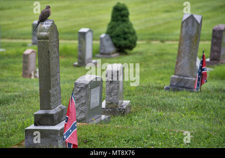 Bloomfield, Stati Uniti d'America. 28 maggio 2018: una mattina colomba resto sulla testa in pietra di una guerra civile veterano del Memorial Day a Ebenezer chiesa battista nel cimitero del villaggio di Bloomfield in Western Loudoun County, Virginia. (Foto di Douglas Graham/Loudoun ora) Credito: William Graham/Alamy Live News Foto Stock