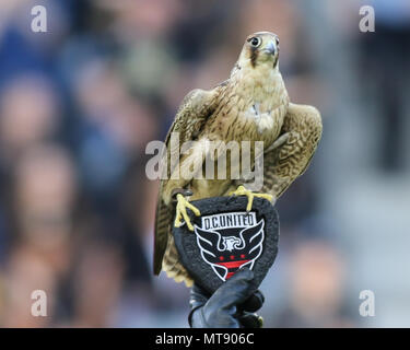 Los Angeles, CA, Stati Uniti d'America. 26 Maggio, 2018. Olly il falcon prima di Los Angeles Football Club vs D.C. Uniti a BANC DELLA CALIFORNIA Stadium di Los Angeles, Ca il 26 maggio 2018. Jevone Moore Credito: csm/Alamy Live News Foto Stock