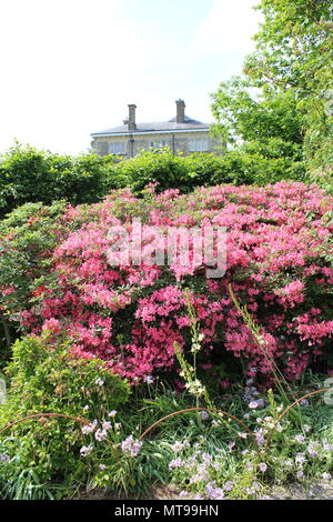 Giardini presso il giardino emmetts National Trust Foto Stock