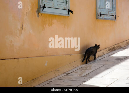 Un gatto che cammina sul lato ombroso del marciapiede nel quartiere Plaka di Atene, Grecia Foto Stock