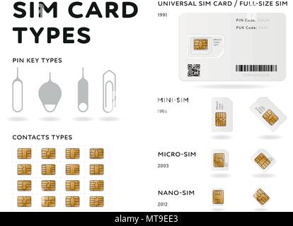 Scheda SIM tipi infographics in stile piatto Illustrazione Vettoriale