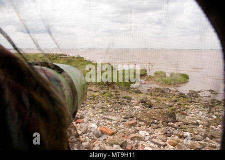 Vista dall'interno di un uccello non vedenti/nascondi a branchi di trampolieri fuori. Foto Stock