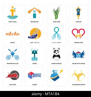 Set di 16 semplici icone modificabile come rifiuti pericolosi, , Casa, wild hog, casa con ali, di prima classe, Maya, badminton club, il cancro del polmone possono essere u Illustrazione Vettoriale