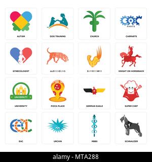 Set di 16 semplici icone modificabile come schnauzer, mbbs, Urchin, EAC, super chef, autismo, ginecologo, università, superpotenza che può essere utilizzato per il mobile, Illustrazione Vettoriale