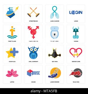 Set di 16 semplici icone modificabile come wild hog, tosaerba, house, lotos, senior care, , prima classe star plus, tazza di gabinetto può essere utilizzato per il mobile, Illustrazione Vettoriale