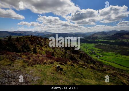 Nuvole ribaltamento Thornthwaite Forest Foto Stock