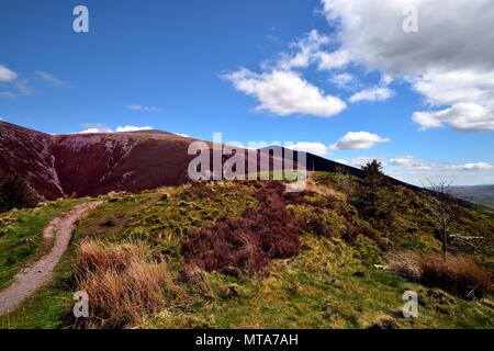 Nuvole ribaltamento Thornthwaite Forest Foto Stock