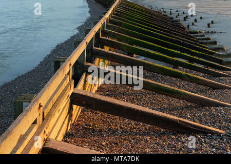 La luce dorata dal sole al tramonto sulla scogliera di legno a Piombino Porto nel West Sussex, Regno Unito. Foto Stock