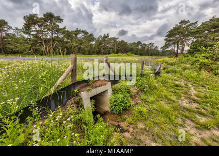 Square Wildlife sottopassaggio incrocio canale sotterraneo per gli animali al di sotto di una autostrada nei Paesi Bassi Foto Stock